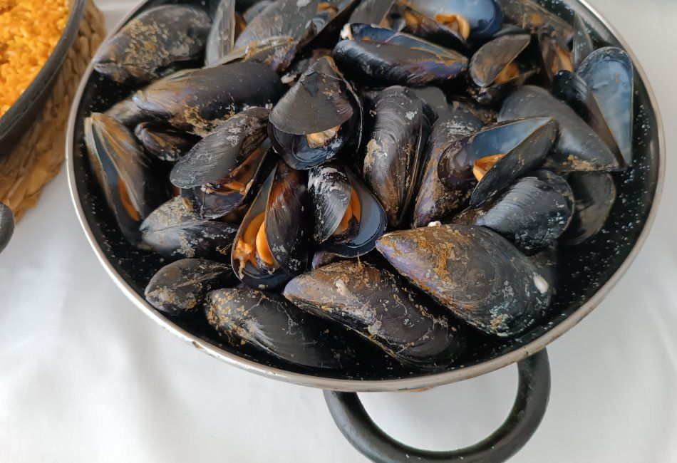 Paellas para llevar en Peñíscola ciudad. Mejillones.