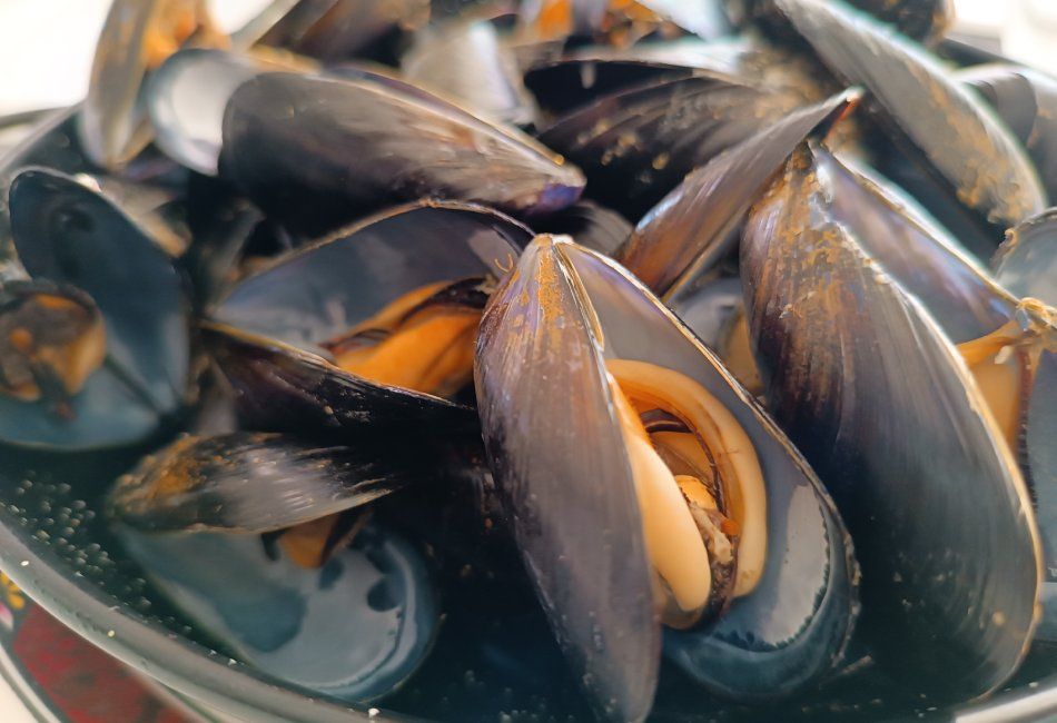 Paellas listas para llevar en Peñíscola. Mejillones.